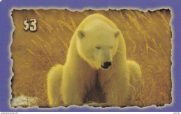 USA - Polar Bear, GEM International Prepaid Card $3, Tirage 1500, 01/97, Mint - Sonstige & Ohne Zuordnung