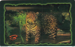 USA - Leopard, GEM International Prepaid Card $3, Tirage 1500, 01/97, Mint - Sonstige & Ohne Zuordnung