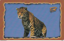 USA - Leopard, GEM International Prepaid Card $3, Tirage 1500, 01/97, Mint - Autres & Non Classés