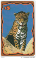 USA - Leopard, Karis Communications Prepaid Card $5, Tirage 1000, Exp.date 01/99, Mint - Autres & Non Classés