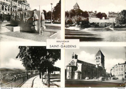 CPSM Souvenir De Saint Gaudens      L 2479 - Saint Gaudens