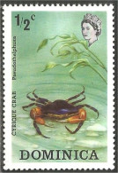 308 Dominica Crabe Crab Cangrejo Krabbe Granchio Caranguejo MH * Neuf (DMN-83h) - Schalentiere