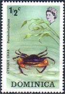 308 Dominica Crabe Crab MNH ** Neuf SC (DMN-5b) - Schalentiere