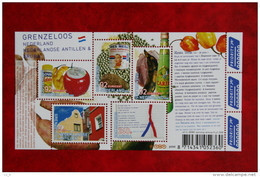 Grenzeloos Nederland Nederlandse Antilen ; NVPH 2579; 2008 POSTFRIS / MNH ** NEDERLAND / NIEDERLANDE / NETHERLANDS - Neufs