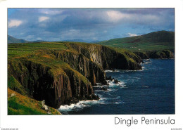 CPSM Ireland-Dingle Peninsula-Kerry            L2397 - Kerry