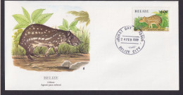 Belize Mittelamerika Fauna Tiere Gibnut Schöner Künstler Brief - Belize (1973-...)