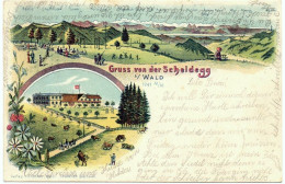 WALD ZH Litho Gruss Von Der Scheidegg, Gel. 1903 N. Uster - Wald