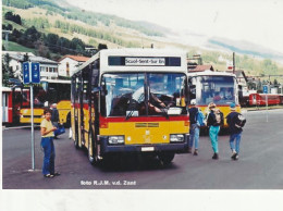 POSTAUTO SCOUL - SENT - SUR - Sent