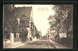 AK Leisnig I. Sa., König-Albert-Strasse Und Frau Mit Kind  - Leisnig