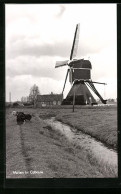 AK Cabauw, Molen, Windmühle  - Andere & Zonder Classificatie