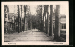 AK Rijsenburg, Diederichslaan  - Driebergen – Rijsenburg