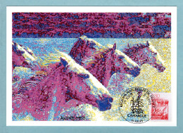 Carte Maximum 1995 - Les Régions Françaises - La Camargue - YT 2952 - 13 Arles - 1990-1999