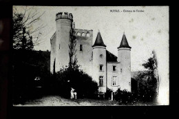 6€ : Chateau De Torsiac - Blesle