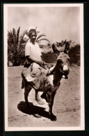 AK Nordafrikanischer Junge Auf Einem Esel  - Donkeys