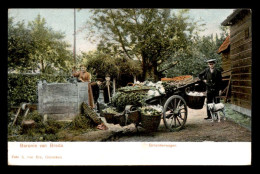 PAYS-BAS - BARONIE VAN BREDA - CARTE COLORISEE - Breda