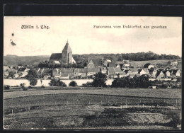 AK Mölln I. Lbg., Panorama Vom Doktorhof Aus Gesehen  - Moelln