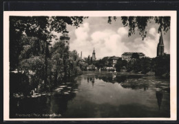 AK Altenburg I. Thür., Blick Vom Ufer Des Kleinen Teich Zur Stadtkirche  - Altenburg