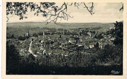 39     ARBOIS  VUE GENERALE  1923 - Arbois