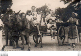 3V3Gz  04 Forcalquier Photo N°2 Attelage Ane Mulet Promenade Des Enfants Sur Charette - Forcalquier