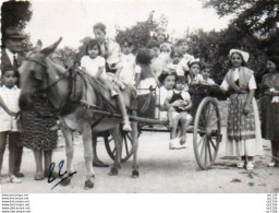 3V3Gz  04 Forcalquier Photo N°1 Attelage Ane Mulet Promenade Des Enfants Sur Charette - Forcalquier