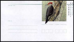 Canada - Vogels - Omslag  - 1991-2000