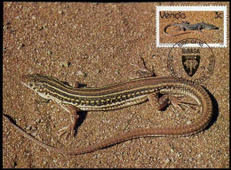 Venda - Reptiles - MC -  - Venda