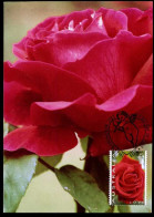 Australia  - Maximum Card - Roses  - Roses