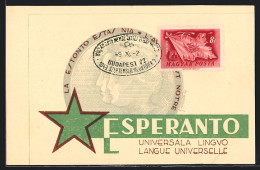 AK Esperanto Universala Lingvo, Budapest 1949  - Esperanto