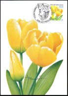 3223 - MK - Gele Tulp - 2001-2010