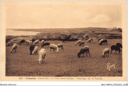 ABSP4-44-0336 - PREFAILLES - Cote Saint Gildas -Paturage Sur La Falaise  - Préfailles