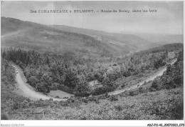 ADJP11-42-0930 - Des ECHARMEAUX A BELMONT - Route De Nolay - Dans Les Bois - Belmont De La Loire