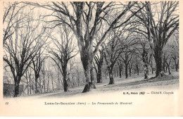 LONS LE SAUNIER - La Promenade De Montcel - Très Bon état - Lons Le Saunier