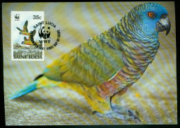 Mk Saint Lucia Maximum Card 1987 MiNr 910 | Endangered Wildlife. WWF. St. Lucia Amazon Pair In Flights #max-0169 - St.Lucia (1979-...)