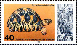 Berlin Poste N** Yv:516 Mi:554 Testudo Radiata (Thème) - Turtles