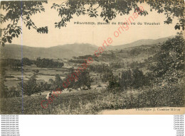 42.  PELUSSIN .  Massif Du Pilat Vu Du Truchet . - Pelussin