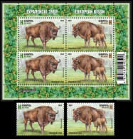 Belarus 2024 European Bison. 2v + Bl - Koeien