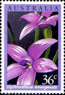 Australie Poste N** Yv: 973/976 Orchidées Australiennes (Thème) - Nuovi