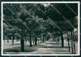 Vibo Valentia Città Foto FG Cartolina KF1887 - Vibo Valentia