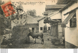 CRETEIL LES BORDS DE LA MARNE  FERME DANS LA PRAIRIE - Creteil