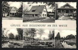 AK Bissendorf An Der Wietze, Heideheim, Aufgang Zum Kurhaus, Wietzebrücke  - Bissendorf