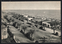 Cartolina Marina Di Massa, La Spiaggia  - Massa