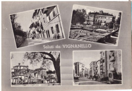 1972  VIGNANELLO 7  SALUTI DA   VITERBO - Viterbo