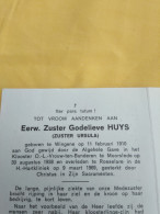 Doodsprentje Godelieve Huys / Wingene 11/2/1910 Roeselare 9/3/1969 ( Zuster Ursula O.L.VR. Ten Bunderen ) - Religione & Esoterismo