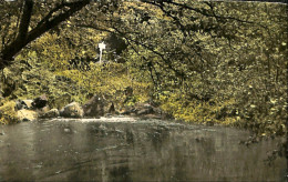 Belgique - Luxembourg - Barvaux Sur Ourthe - La Grotte De Glawans - Marche-en-Famenne