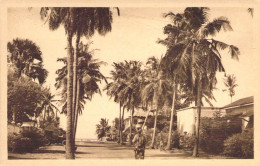 CPA AFRIQUE / BENIN "Cotonou, Avenue De Cocotiers" - Benin