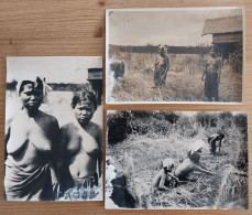 3 Photos 1930 Cliché Claeys Femmes Moïs Montagnardes Nues Nue Nu Seins Nus Indochine Vietnam Région De Cho Réo Annam - Asie