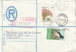 Botswana Cover Registered - 1993 1994 - Snake Eagle Eagles Birds Flowers Christmas Boophane Disticha - Botswana (1966-...)