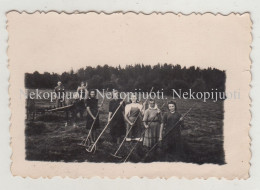 Lietuva, žemės ūkio Darbai, Apie 1930 M. Mažo Formato Fotografija - Lituania