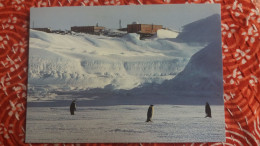 CPM TERRES AUSTRALES ET ANTARCTIQUES FRANCAISES TERRE ADELIE LA BASE DUMONT D URVILLE DURANT L HIVER AUSTRAL - TAAF : Terres Australes Antarctiques Françaises