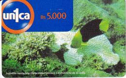 TARJETA DE UNICA DE VENEZUELA DE UN PEZ ISABELITA (FISH) - Venezuela